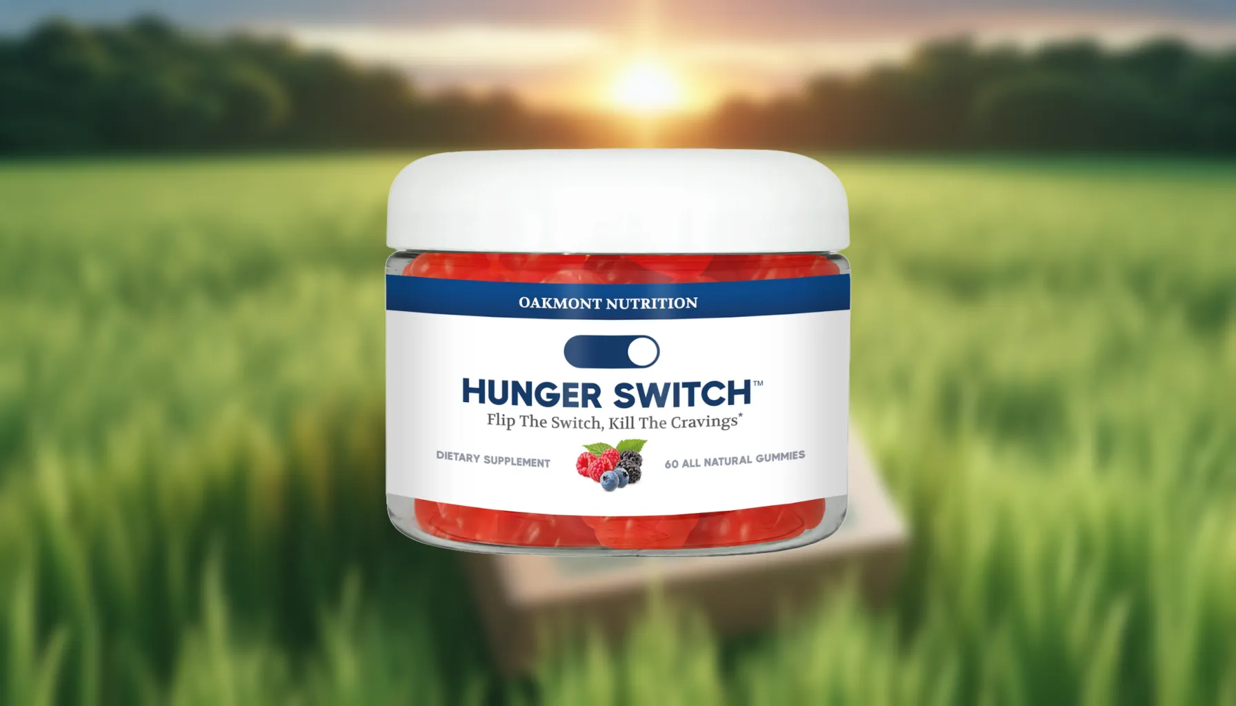 Unlock the Power of Hunger Switch for a Healthier You