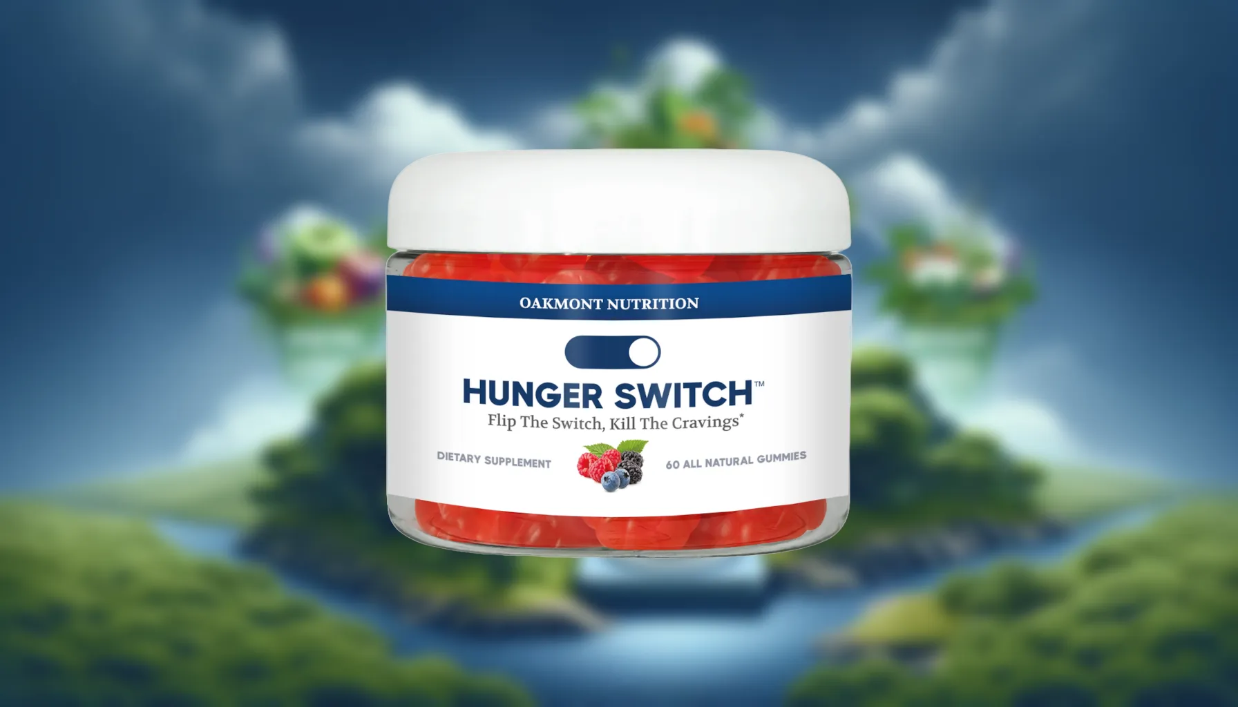 Hunger Switch: Transform Your Approach to Hunger Management