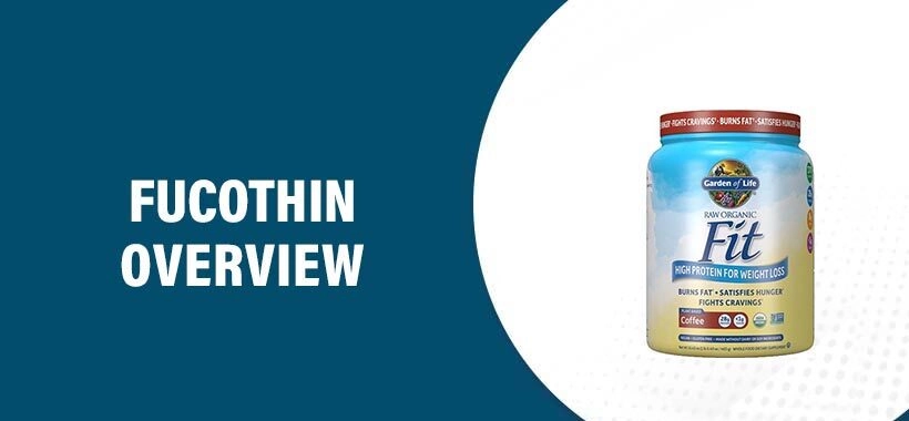 FucoThin Reviews and the Superior Benefits of Hunger Switch: A Comprehensive Guide