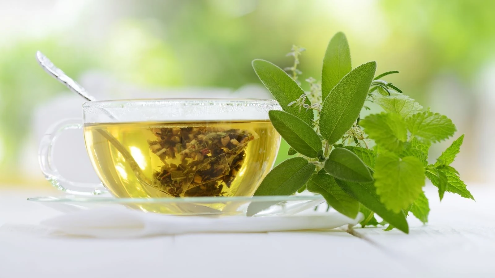 The Benefits of Green Tea Extract