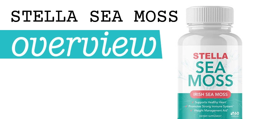 Stella Sea Moss Review: A Detailed Examination & Comparison with Hunger Switch