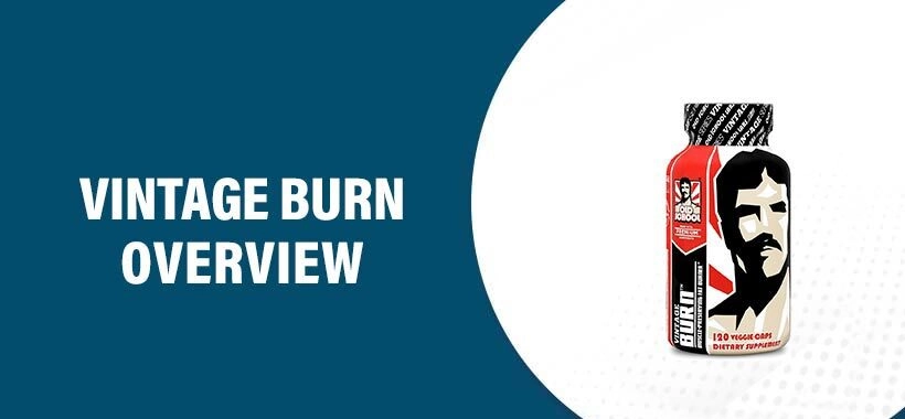 Vintage Burn: Comprehensive Review and Comparison with Hunger Switch